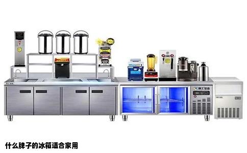 什么牌子的冰箱适合家用