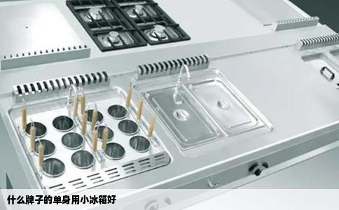 什么牌子的单身用小冰箱好