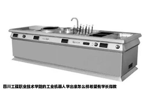 四川工程职业技术学院的工业机器人学出来怎么样希望有学长指教