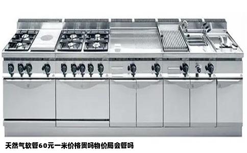 天然气软管60元一米价格贵吗物价局会管吗