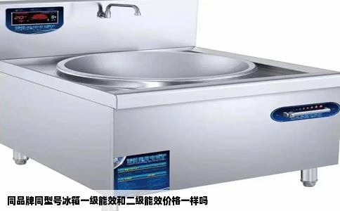 同品牌同型号冰箱一级能效和二级能效价格一样吗