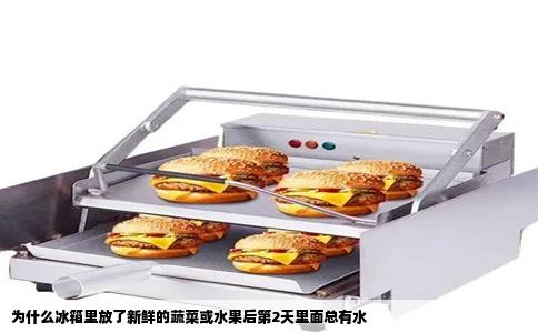 为什么冰箱里放了新鲜的蔬菜或水果后第2天里面总有水