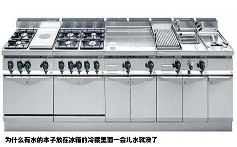 为什么有水的本子放在冰箱的冷藏里面一会儿水就没了