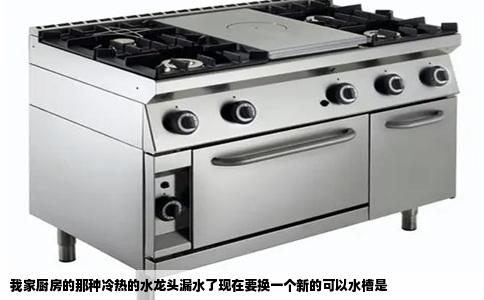 我家厨房的那种冷热的水龙头漏水了现在要换一个新的可以水槽是