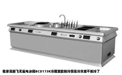 我家是新飞无氟电冰箱BCD173K冷藏室能制冷但是冷冻室不制冷了