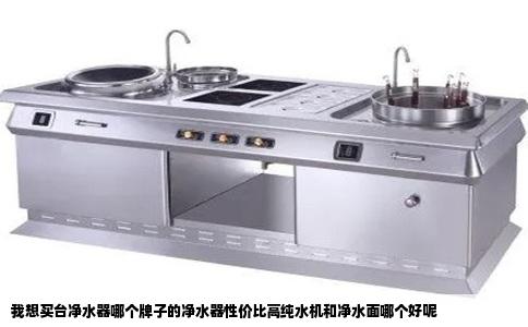 我想买台净水器哪个牌子的净水器性价比高纯水机和净水面哪个好呢