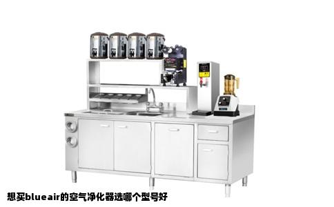 想买blueair的空气净化器选哪个型号好