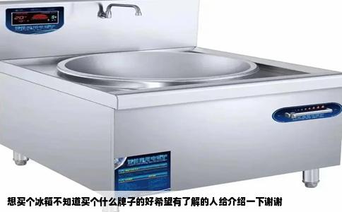 想买个冰箱不知道买个什么牌子的好希望有了解的人给介绍一下谢谢