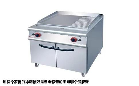 想买个家用的冰箱最好是省电静音的不知哪个品牌好