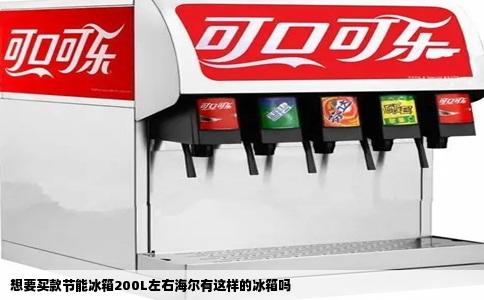 想要买款节能冰箱200L左右海尔有这样的冰箱吗