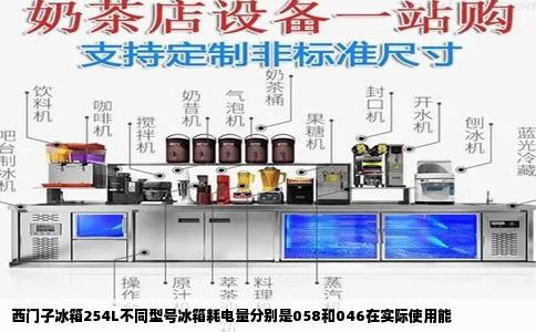 西门子冰箱254L不同型号冰箱耗电量分别是058和046在实际使用能