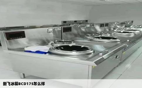 新飞冰箱BCD175怎么样
