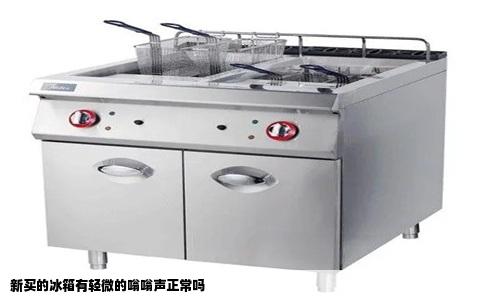新买的冰箱有轻微的嗡嗡声正常吗