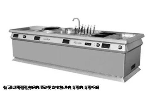 有可以把刚刚洗好的湿碗筷直接放进去消毒的消毒柜吗