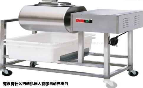 有没有什么扫地机器人能够自动充电的