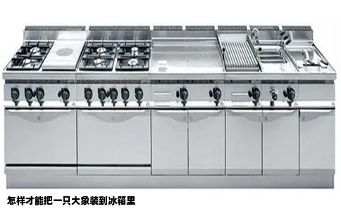 怎样才能把一只大象装到冰箱里