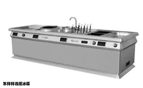 怎样样选择冰箱