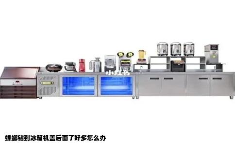 蟑螂钻到冰箱机盖后面了好多怎么办